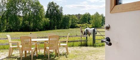 An outdoor seating area with a table and chairs, a wooden fence, and a horse grazing in the background.