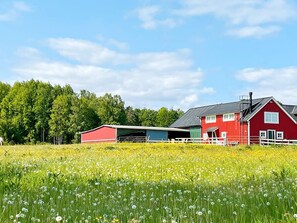 Punainen lato ja punainen talo, jossa on valkoinen ovi, ja niiden ympärillä keltaisten kukkien pelto ja vihreitä puita sinisen taivaan alla.