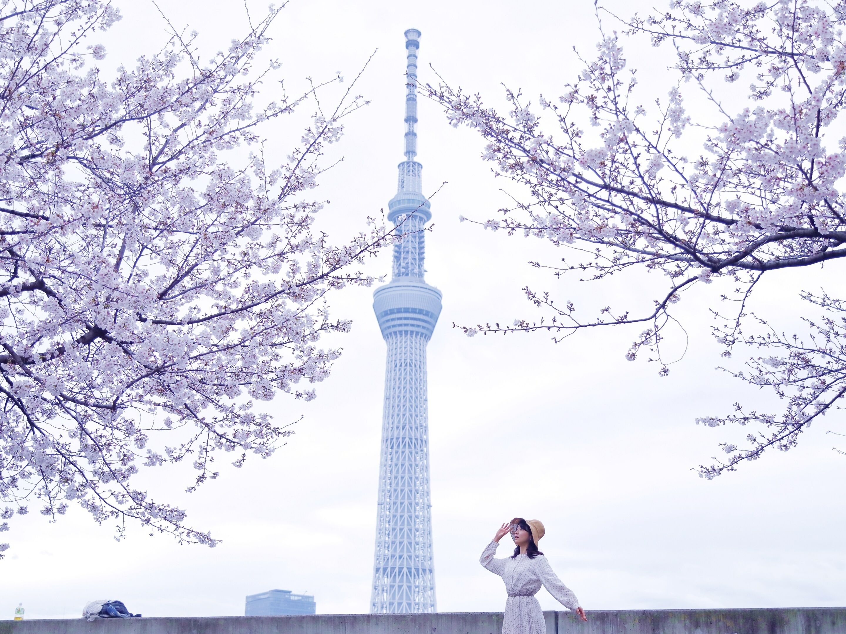 Photo - &Here TOKYO UENO