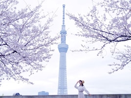 A tower with a spire, surrounded by cherry blossom trees.