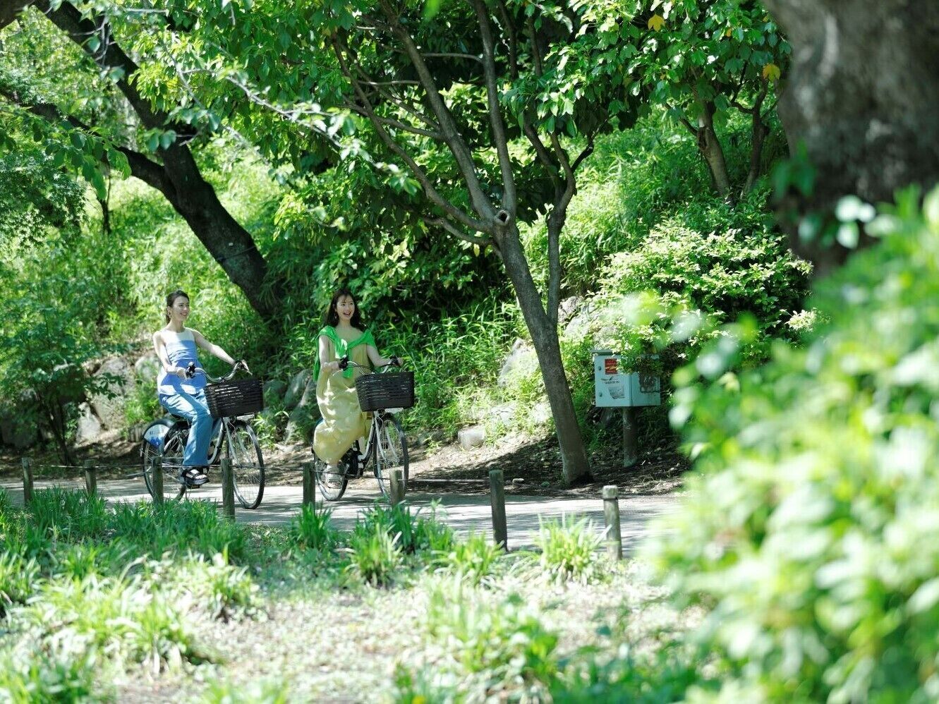 A park with a paved path, trees, and a signboard.