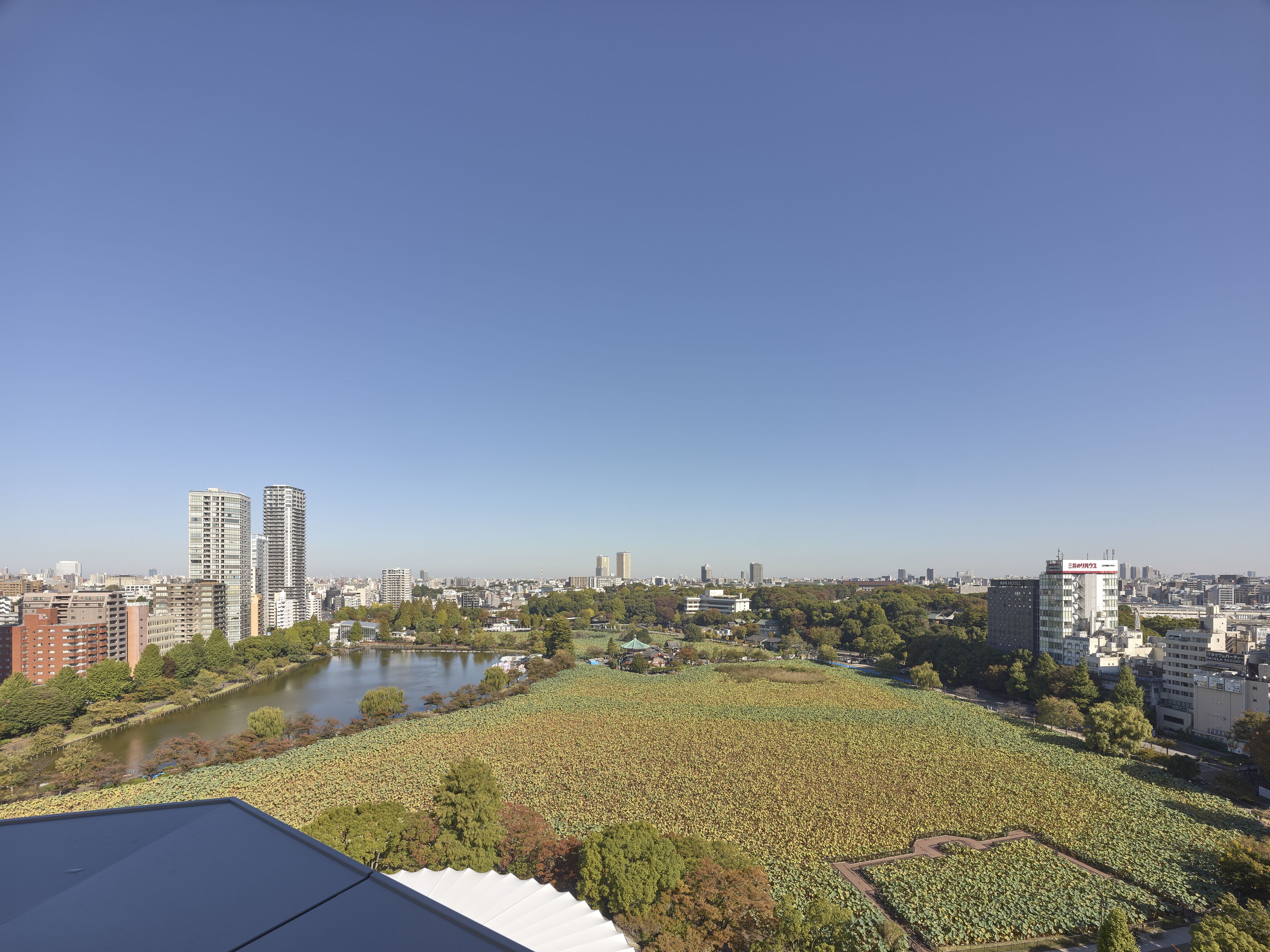 住宿景觀