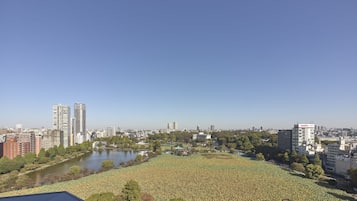 Un paysage urbain avec de hauts immeubles, une rivière et un vaste espace vert aménagé en parc.