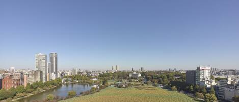 住宿景觀