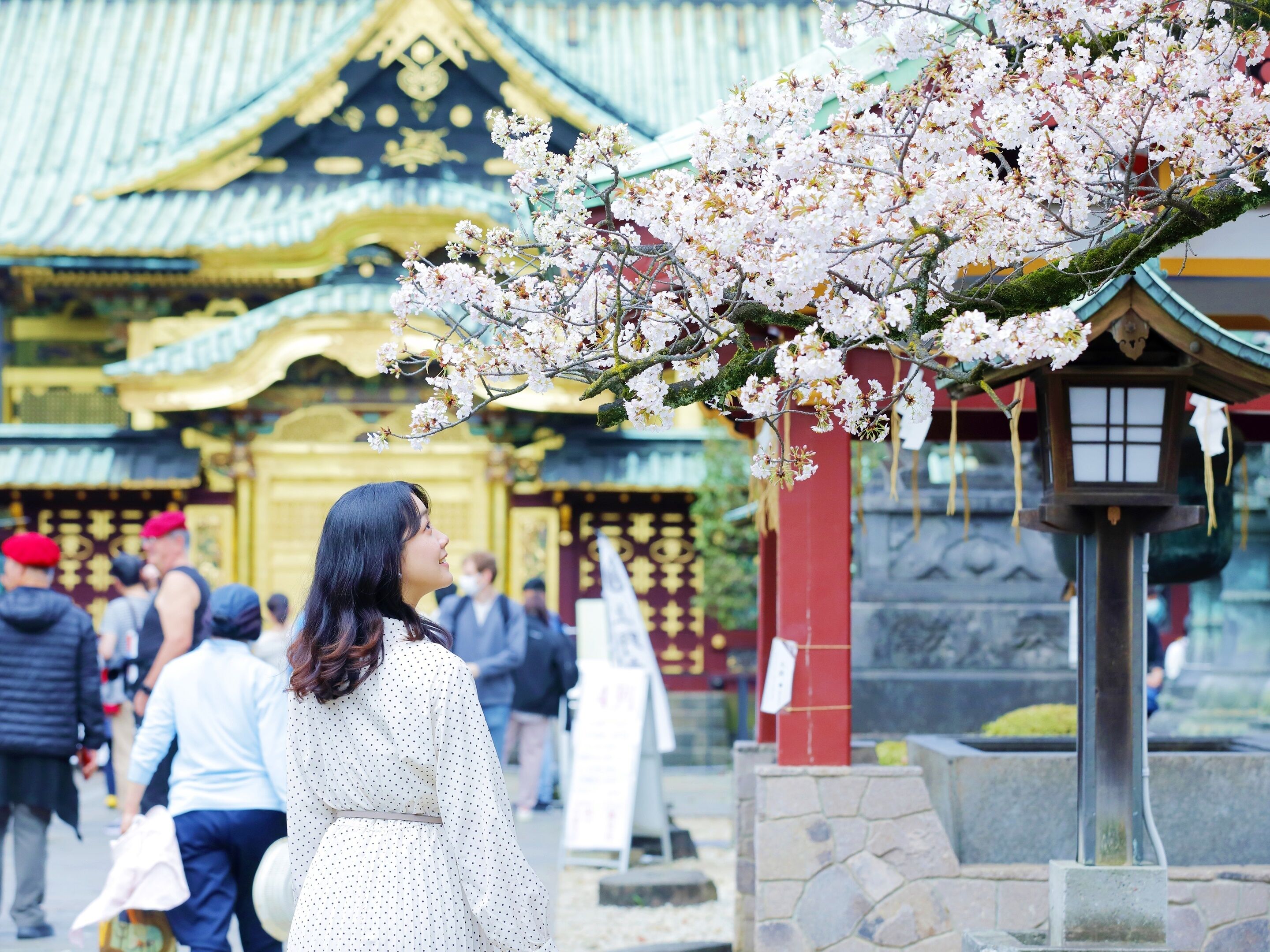 Photo - &Here TOKYO UENO