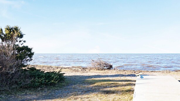 Une plage avec une promenade en bois menant à l’eau, entourée d’une végétation clairsemée et sous un ciel dégagé.