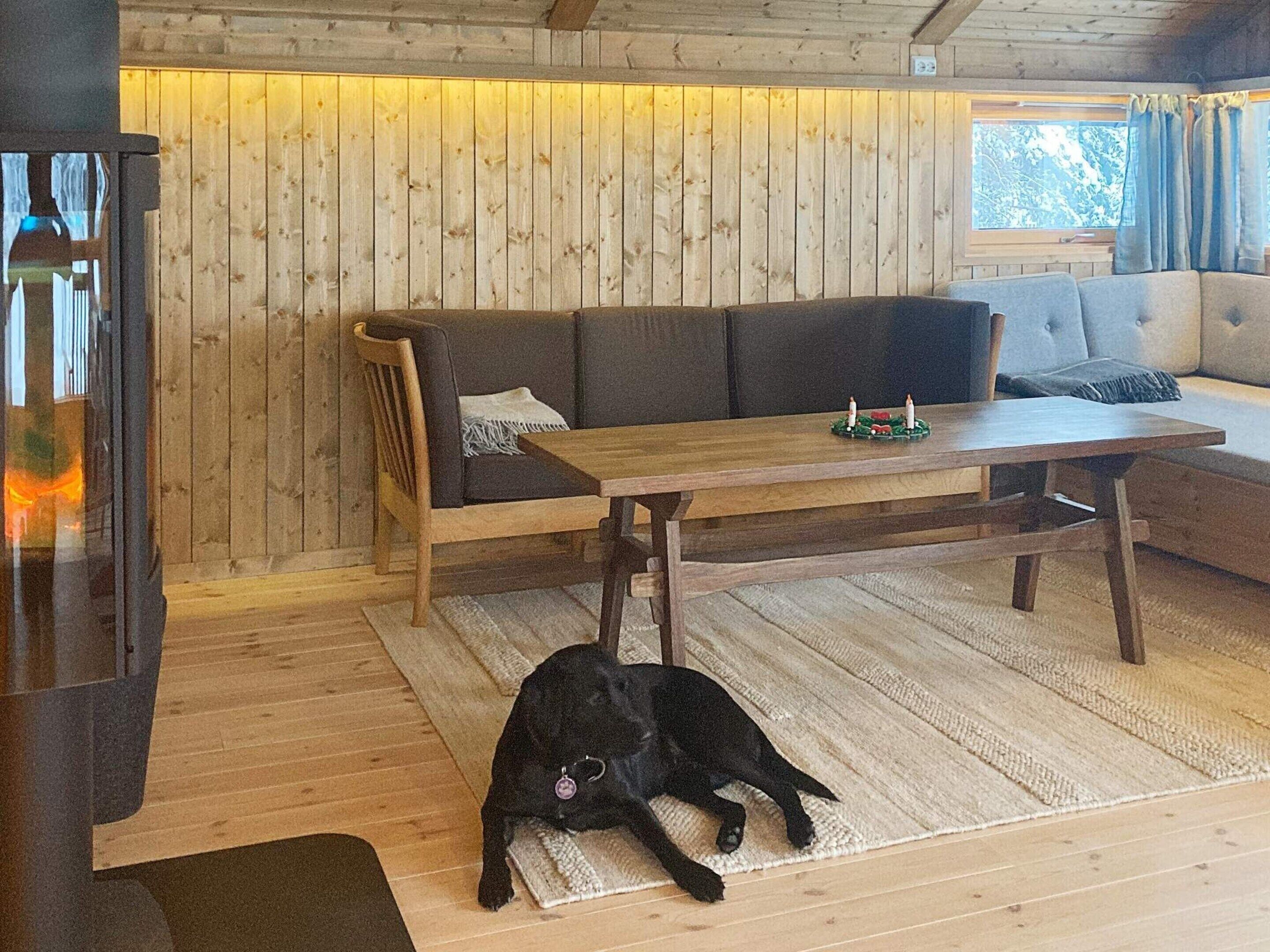 Tunnelmallinen huone, jossa on puulattia, sohva, pöytä ja koira, joka lepää matolla.