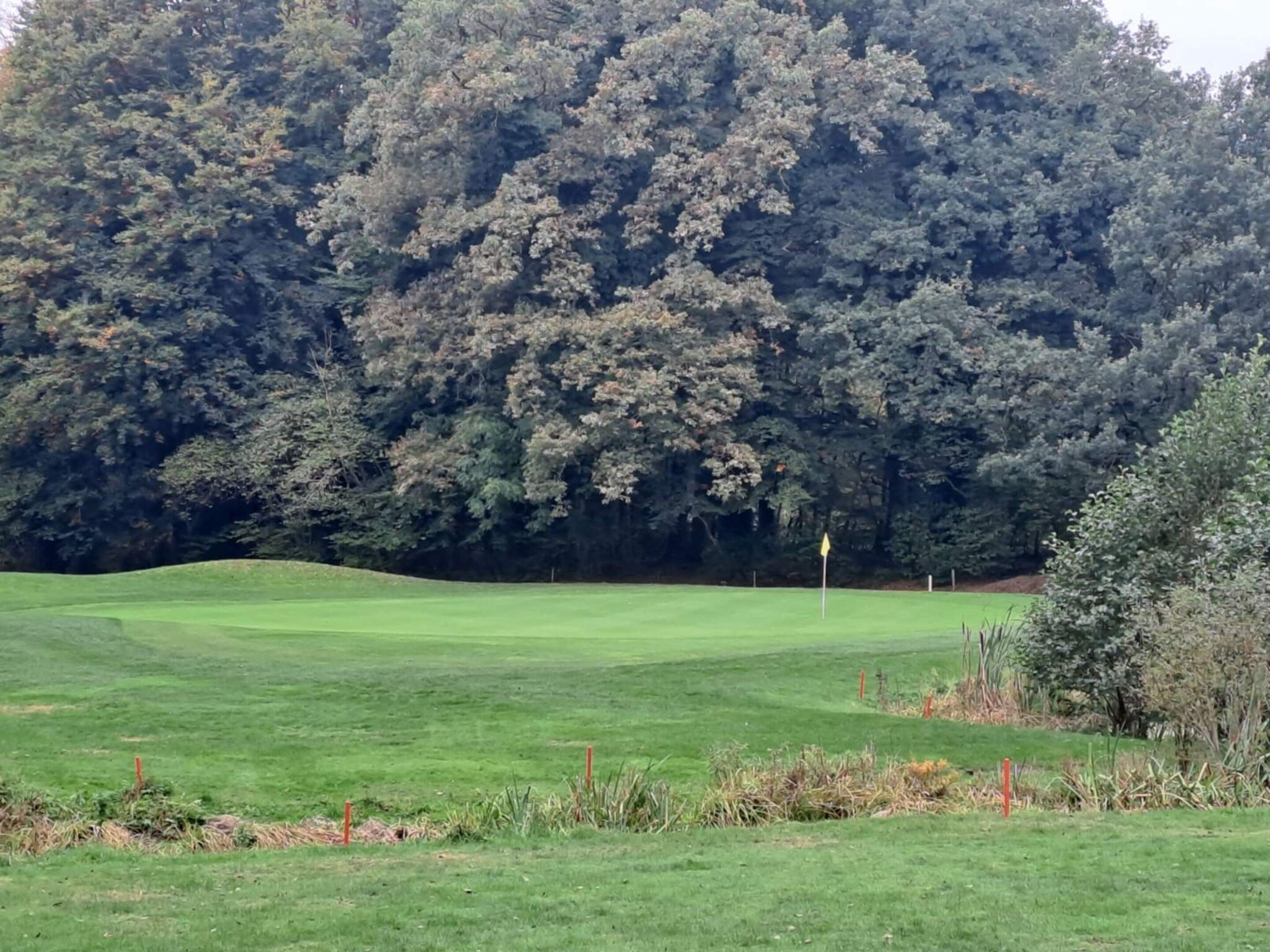 A golf course with a well-maintained green, a flagstick, and dense trees in the background.