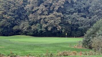 A golf course with a well-maintained green, a flagstick, and dense trees in the background.