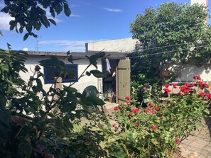 House | Terrace/patio