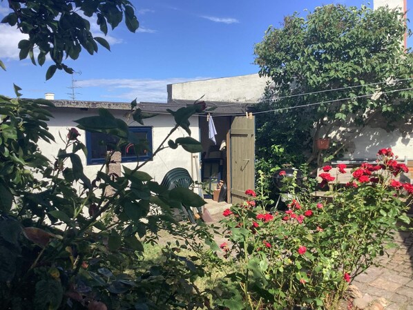 House | Terrace/patio - 6 Person Holiday Home in Allinge (Allinge)