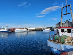 Um porto com vários barcos de pesca atracados, água calma e céu claro.