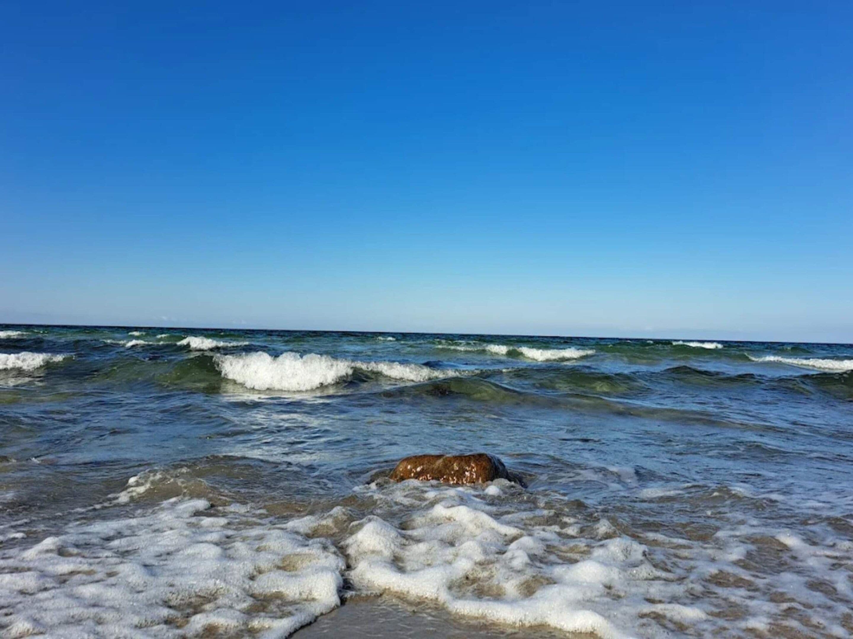 Een strand met golven en een hond in het water.