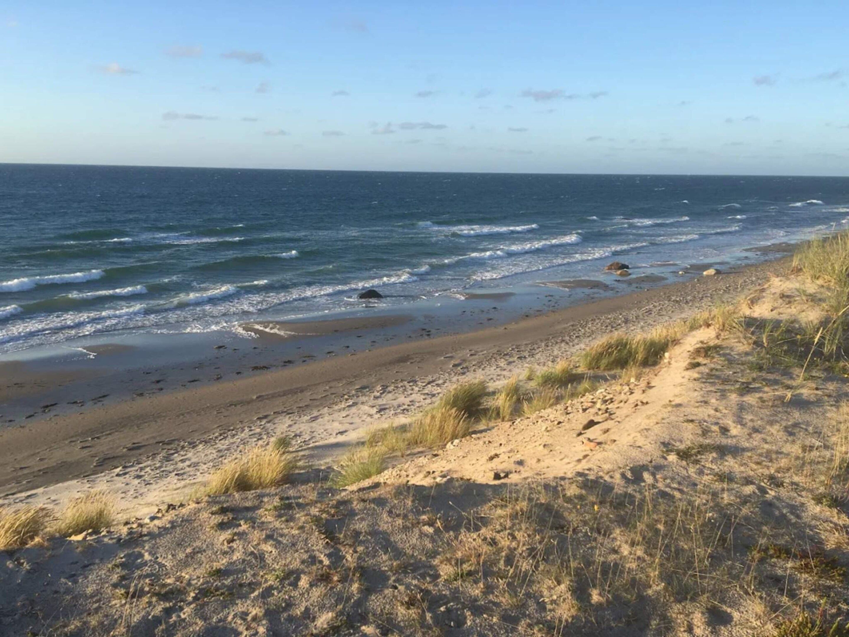 A beach with a sandy shore and waves.
