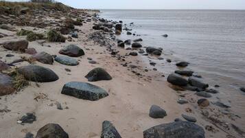 Uma praia rochosa com grandes pedras e vegetação escassa.