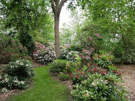 A garden with a variety of flowering plants and a central walking path.