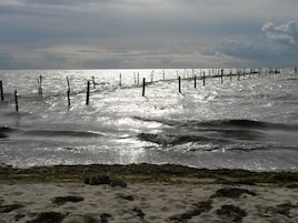 Una playa con una valla de madera y olas.