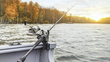 House | 3 bedrooms, individually furnished