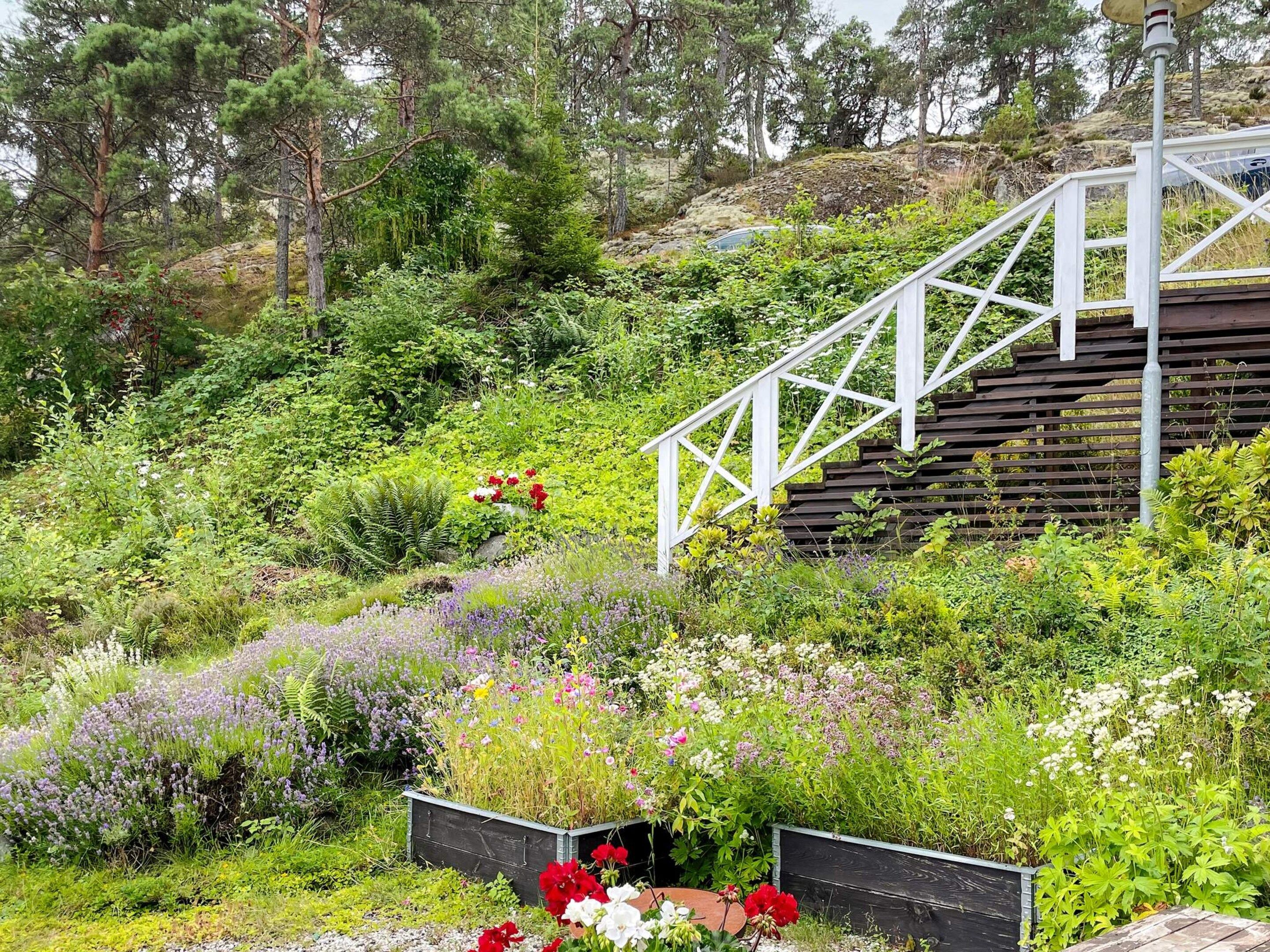 A garden with a wooden staircase leading up a slope, surrounded by various plants and flowers.