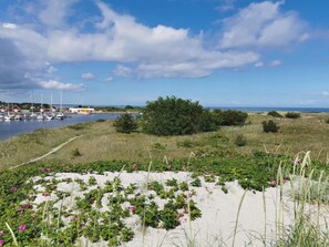 Eine Küstenlandschaft mit Sandstrand, etwas Grün und einem Yachthafen mit Booten.