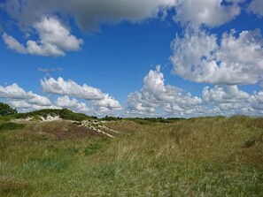 House | Miscellaneous