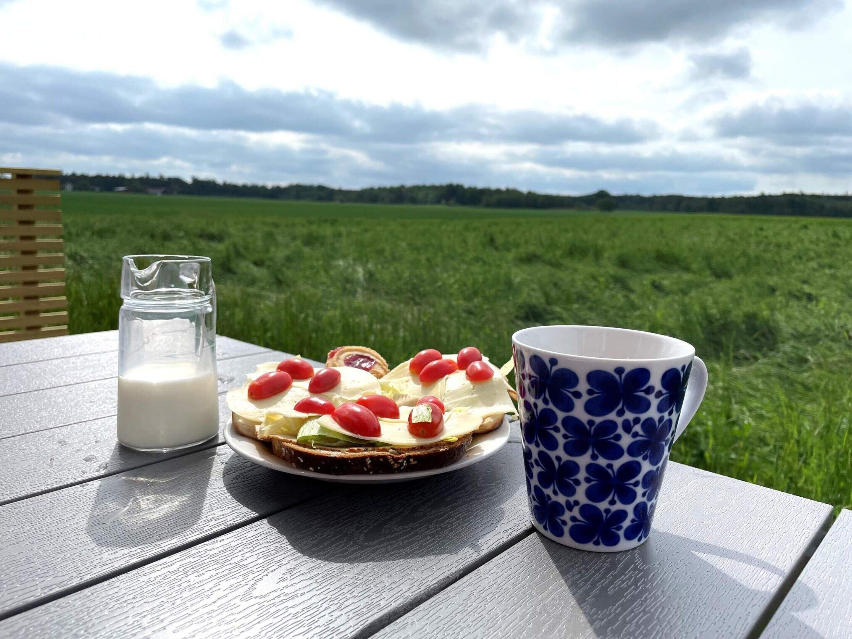A table with a plate of food, a glass of milk, and a blue floral mug, set against a backdrop of a green field and cloudy sky.