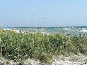 A beach with tall grass in the foreground and the ocean in the background. - 6 Person Holiday Home in Hals (Hals)