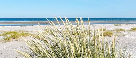 House | Beach