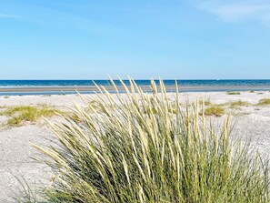 House | Beach - 6 Person Holiday Home in Hals (Hals)