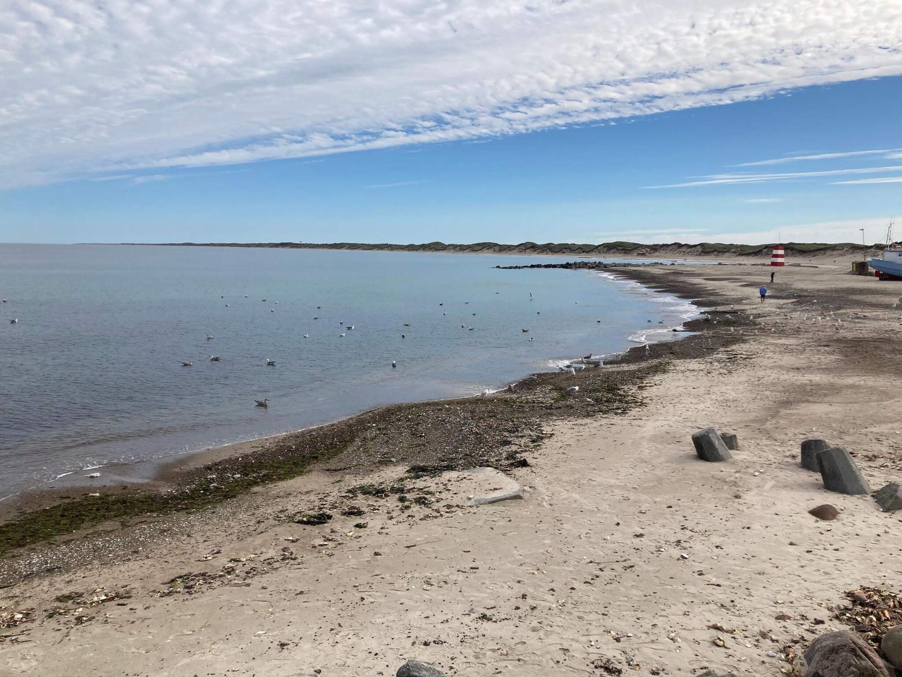 A beach with a clear sky, calm water, and a sandy shore.