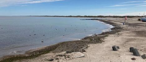 A beach with a clear sky, calm water, and a sandy shore.