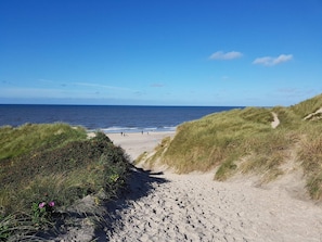 Una playa arenosa con dunas cubiertas de hierba y el océano al fondo.