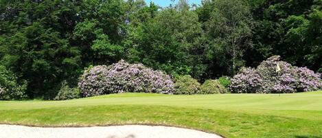 Casa | Golf