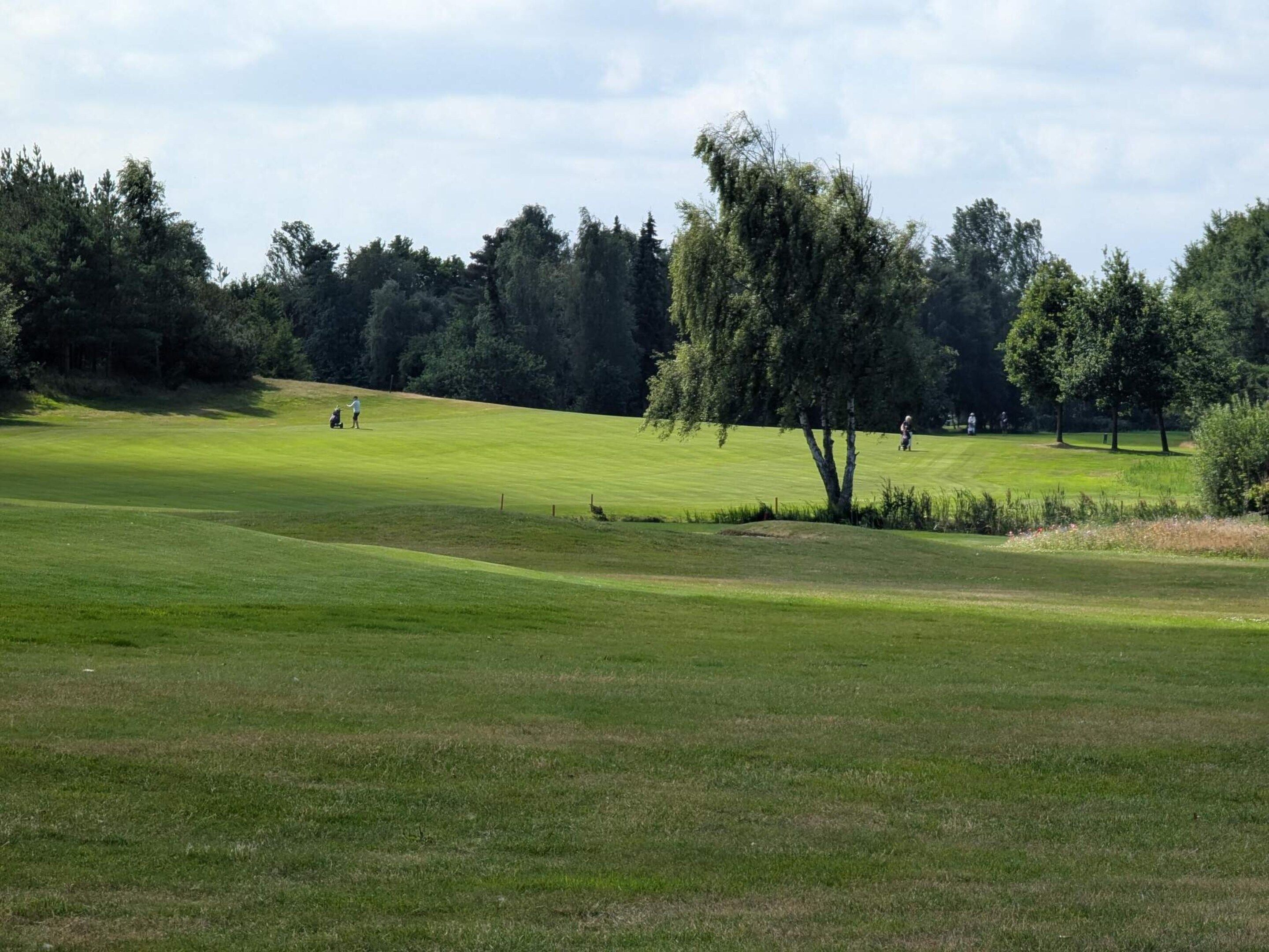 Um campo de golfe com um green bem cuidado, árvores e um céu claro.