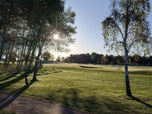 Un parcours de golf avec un tracé bien défini, des arbres et un horizon lointain.