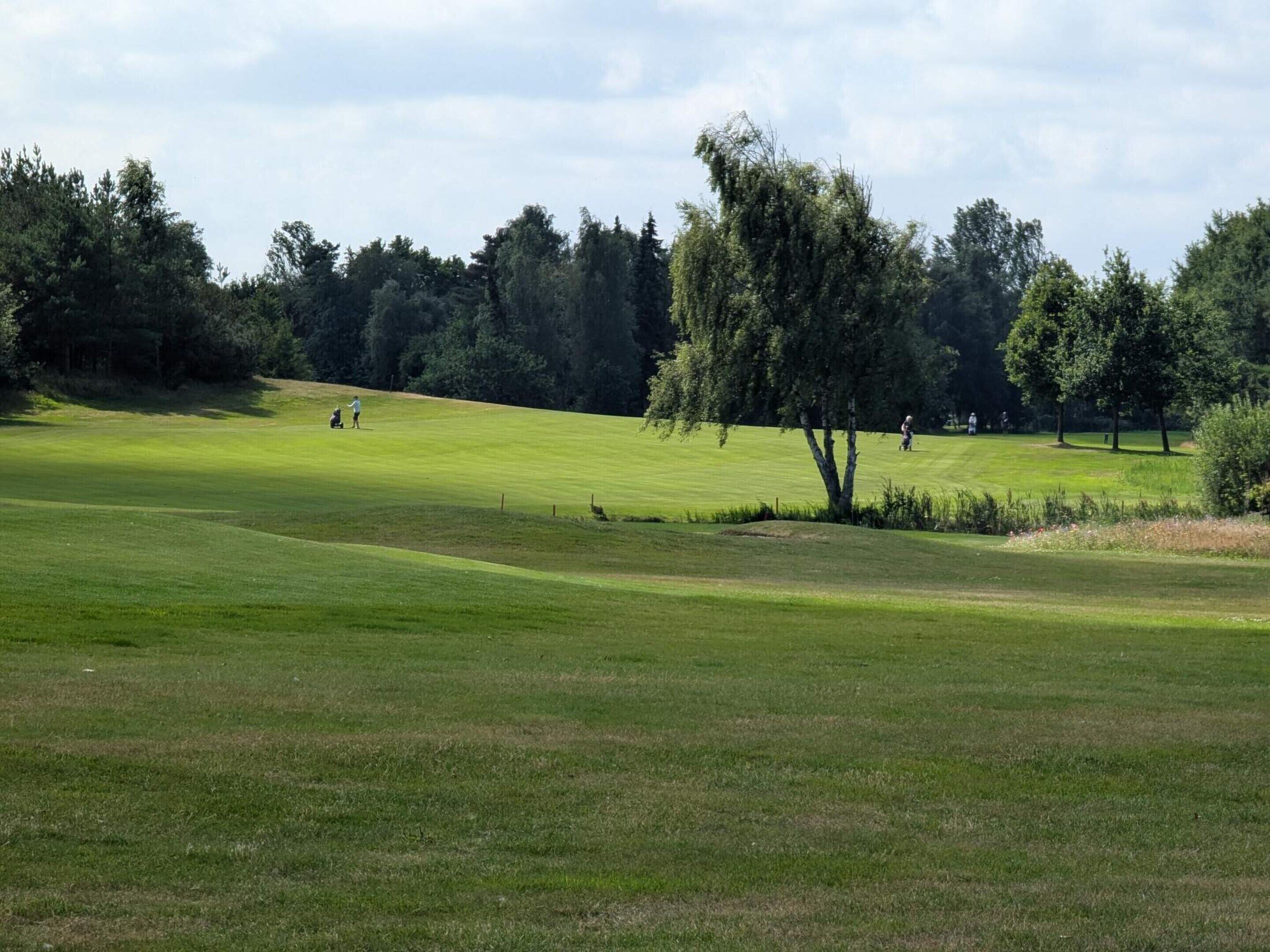 A golf course with a well-maintained green, trees, and a few people playing.