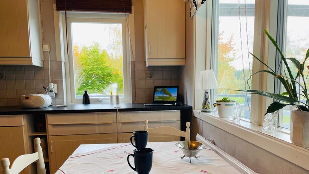 Une cuisine avec une table à manger, des chaises, une machine à café, une lampe et une fenêtre avec des plantes.