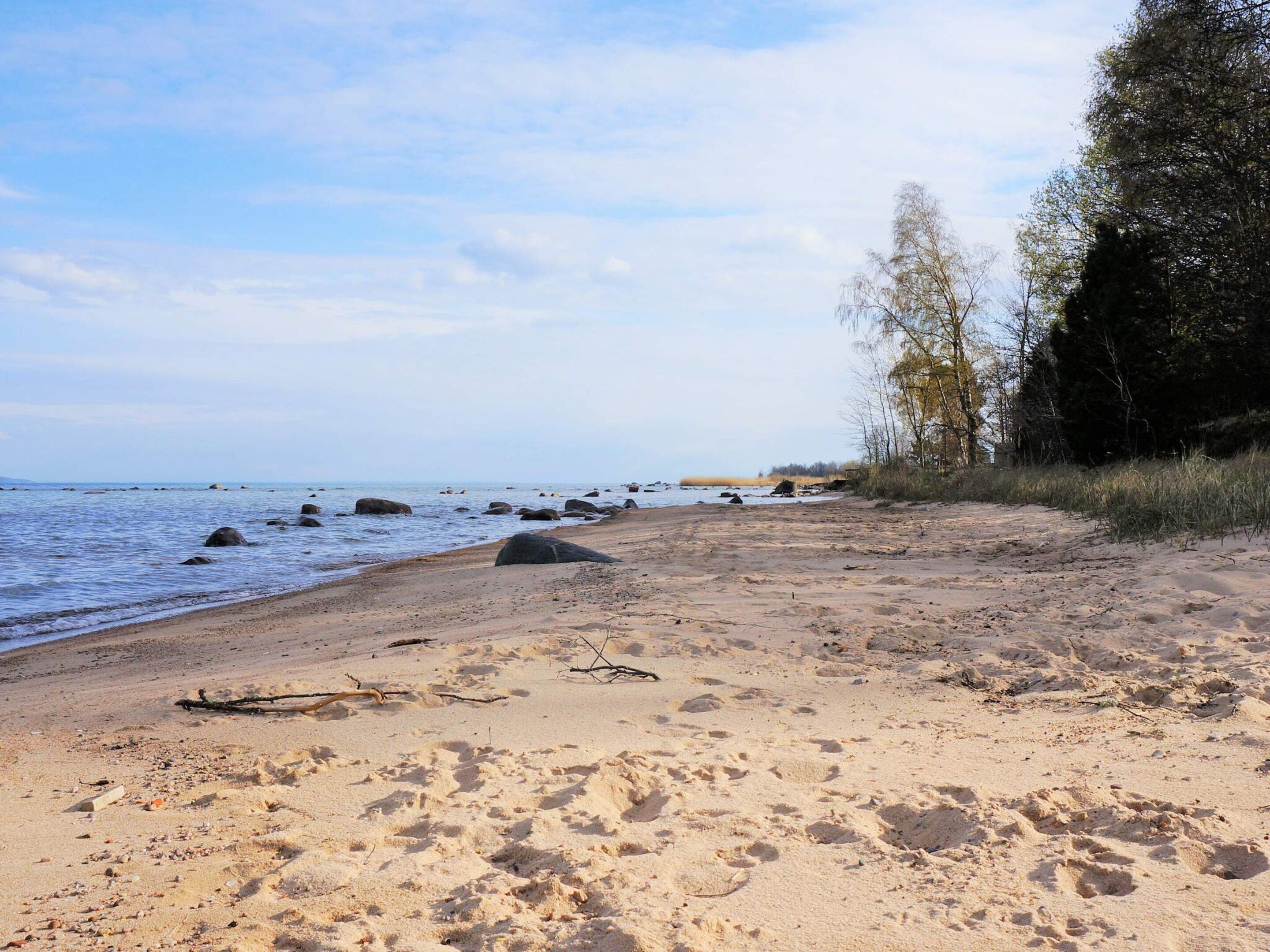 House | Beach