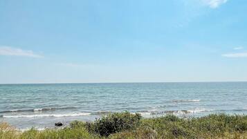 House | Beach