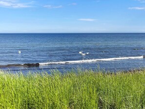 House | Beach - 8 Person Holiday Home in Beddingestrand-by Traum (Trelleborg)