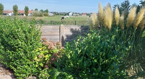 Property grounds - Zeepolder I 45 - very cosy holiday home (De Haan)