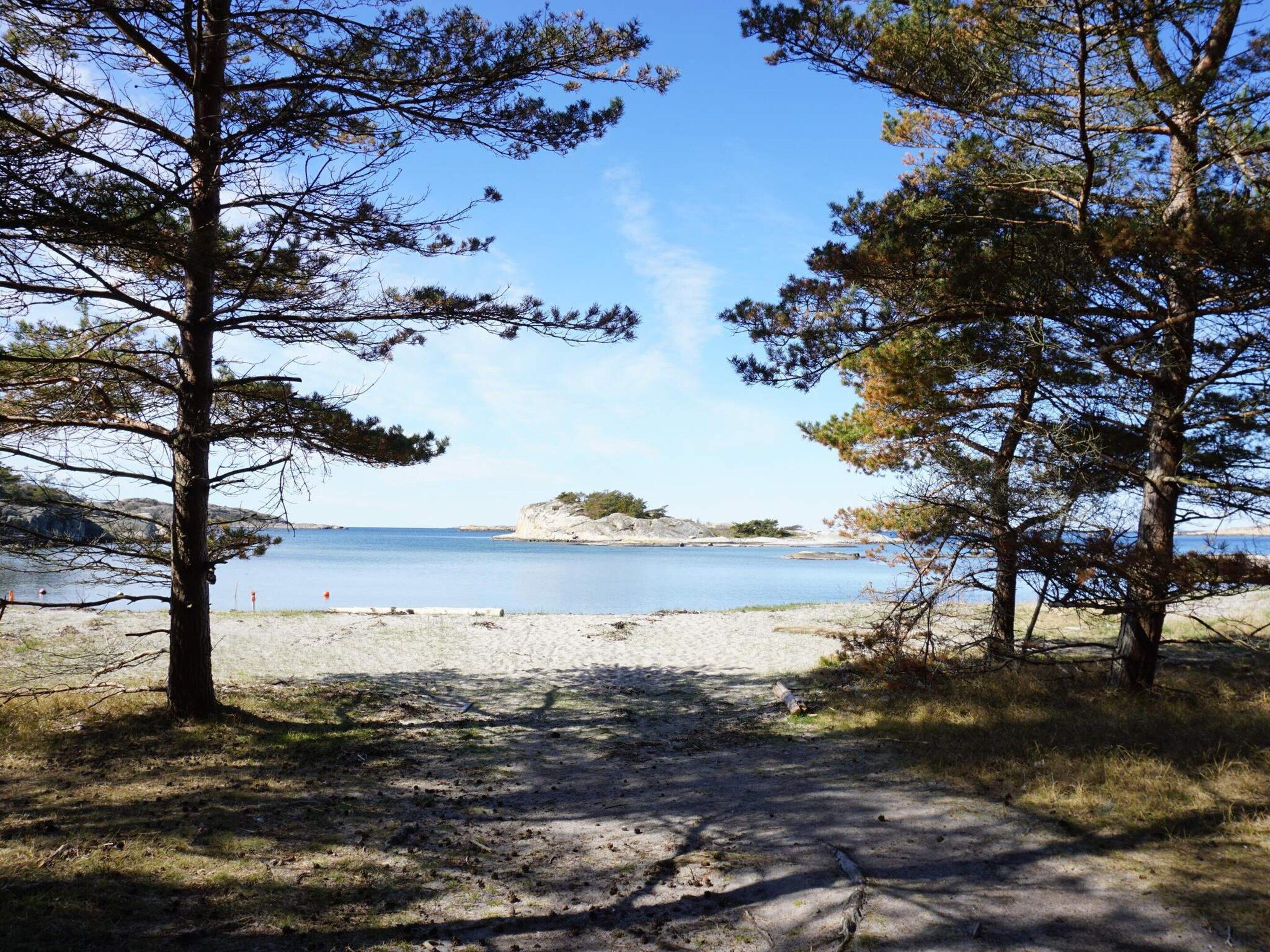 Un sentier bordant la plage mène à une étendue de sable, avec des arbres qui encadrent la vue sur une mer calme et des formations rocheuses lointaines.