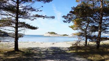 Un sentier bordant la plage mène à une étendue de sable, avec des arbres qui encadrent la vue sur une mer calme et des formations rocheuses lointaines.