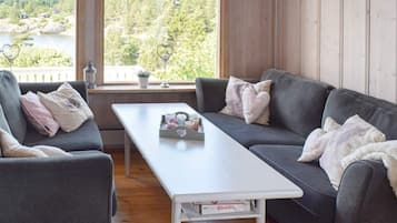 House | Living area
