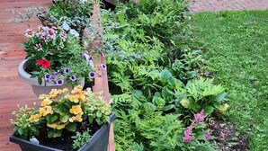 A wooden deck with potted plants and a white railing. - Oaklawn Inn LLC (Menomonie)