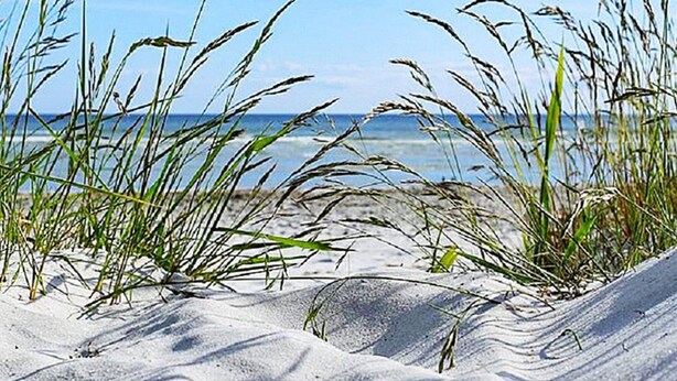 Une plage avec des dunes de sable et de l’herbe au premier plan.