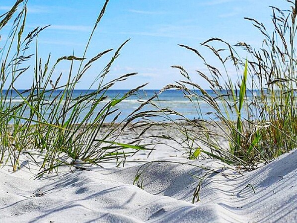 独立别墅 | 外观