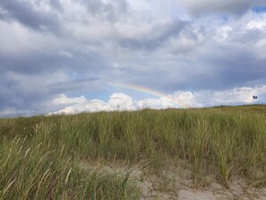 House | Miscellaneous