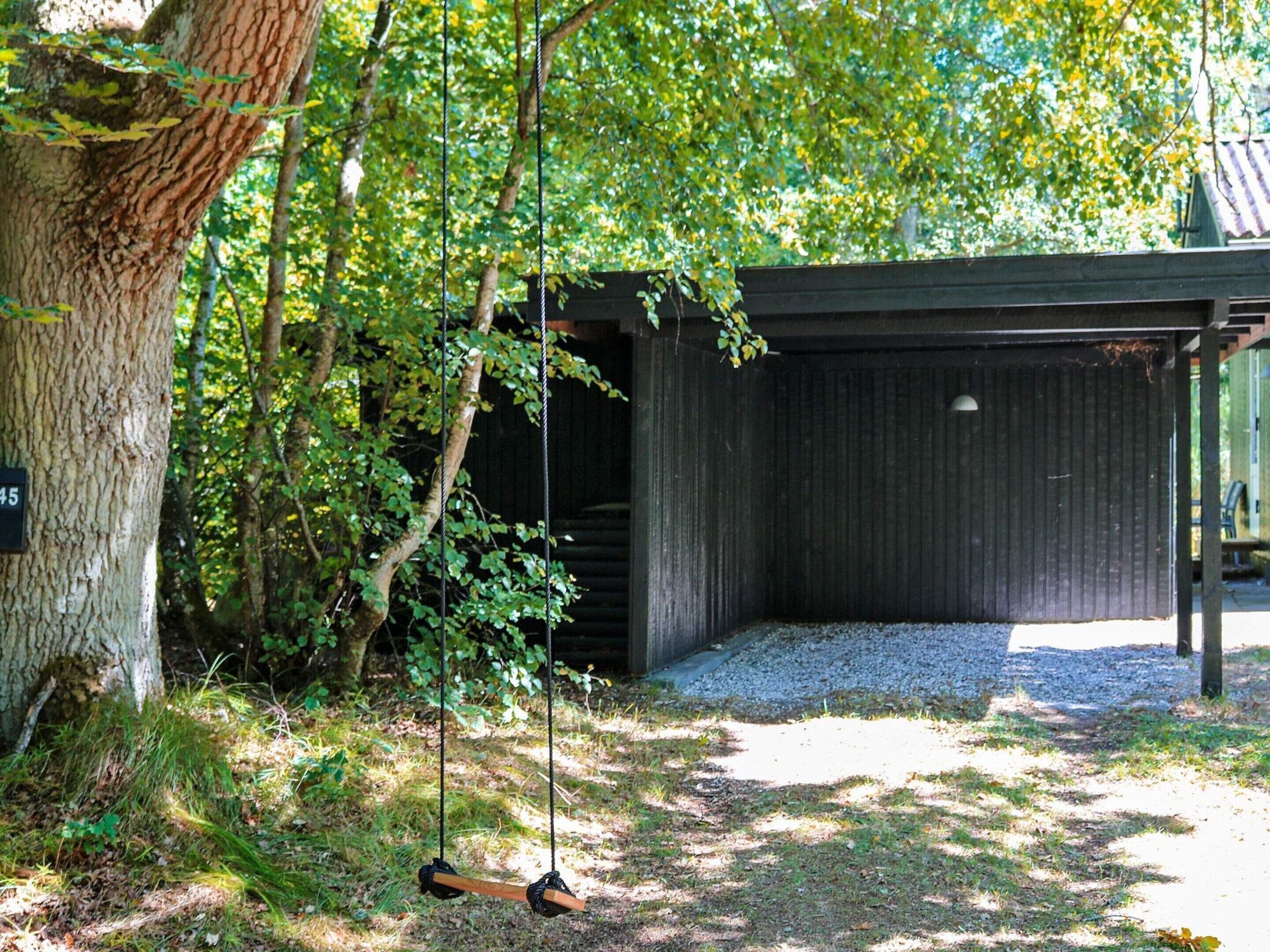 A wooden swing hanging from a tree, a gravel path, and a small building with a corrugated metal roof.