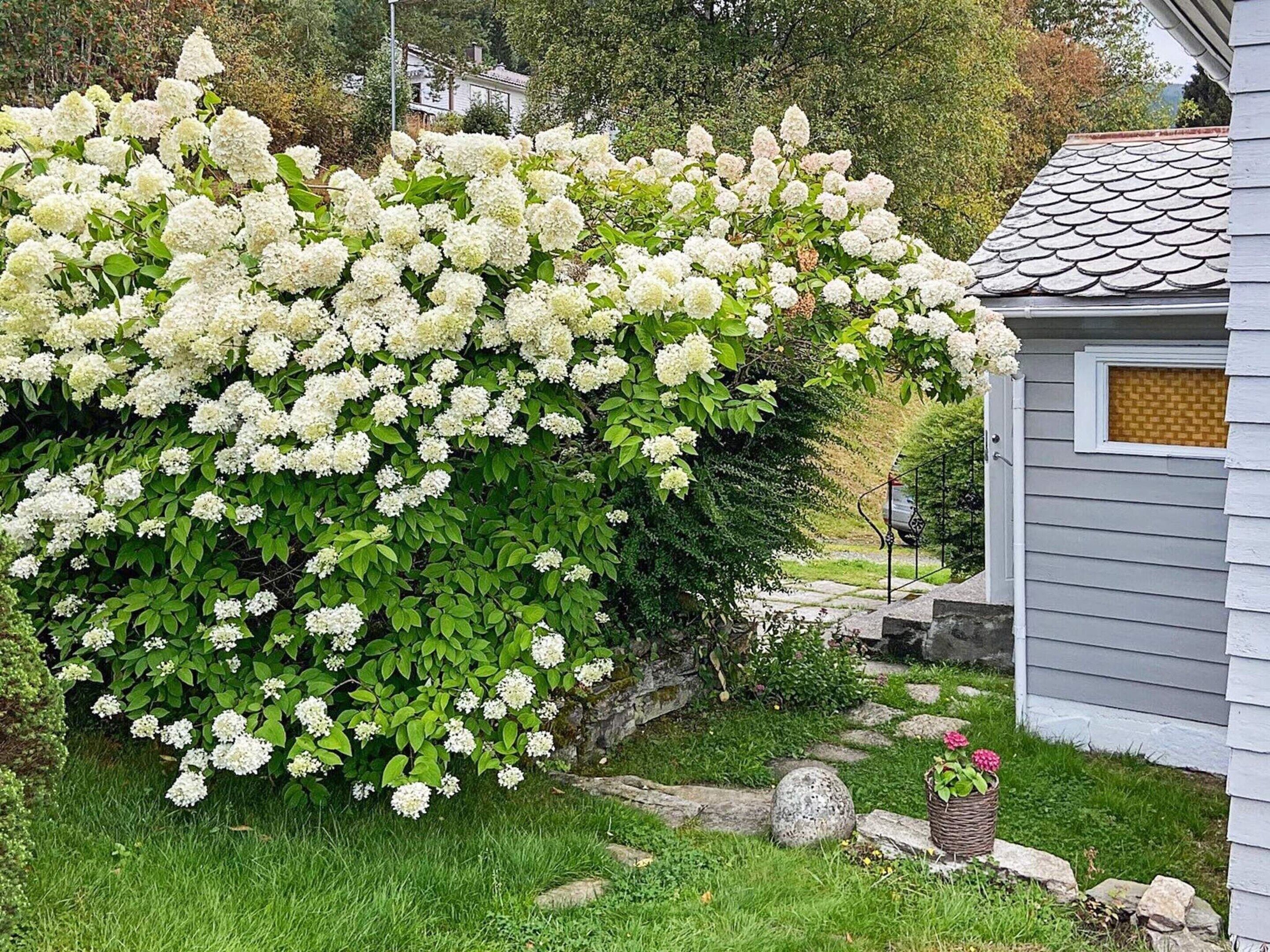 บ้านพัก | บริเวณภายนอก